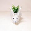 Mama and Baby Bunny Planter Set - Pots - 6