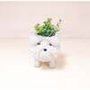Mama and Baby Westie Planter Set - Pots - 5