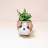 Mama and Baby English Bulldog Planter Set - Pots - 5