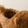 Chow Chow and Shih Tzu Planter Set - Pots - 4