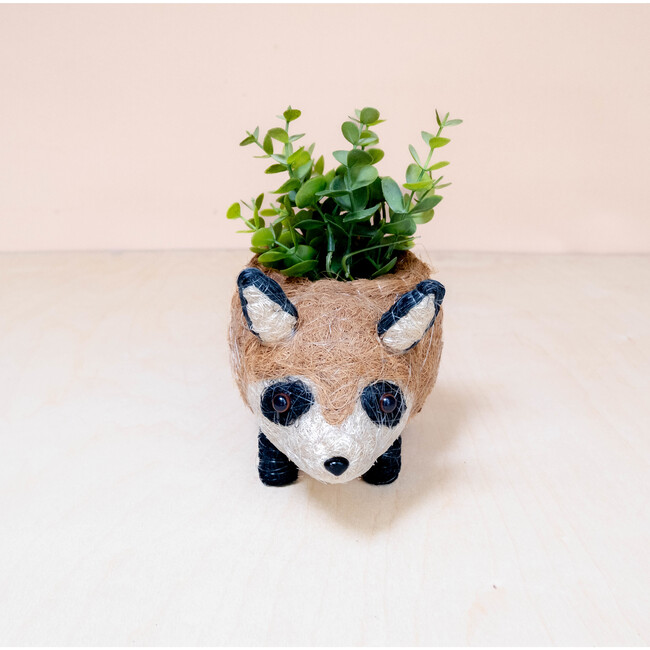 Mama and Baby Raccoon Planter Set - Pots - 6