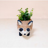 Mama and Baby Raccoon Planter Set - Pots - 6