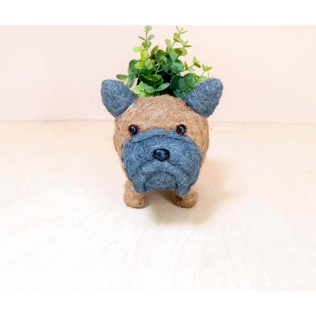 Mama and Baby French Bulldog Planter Set - Pots - 5