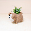 Mama and Baby English Bulldog Planter Set - Pots - 6