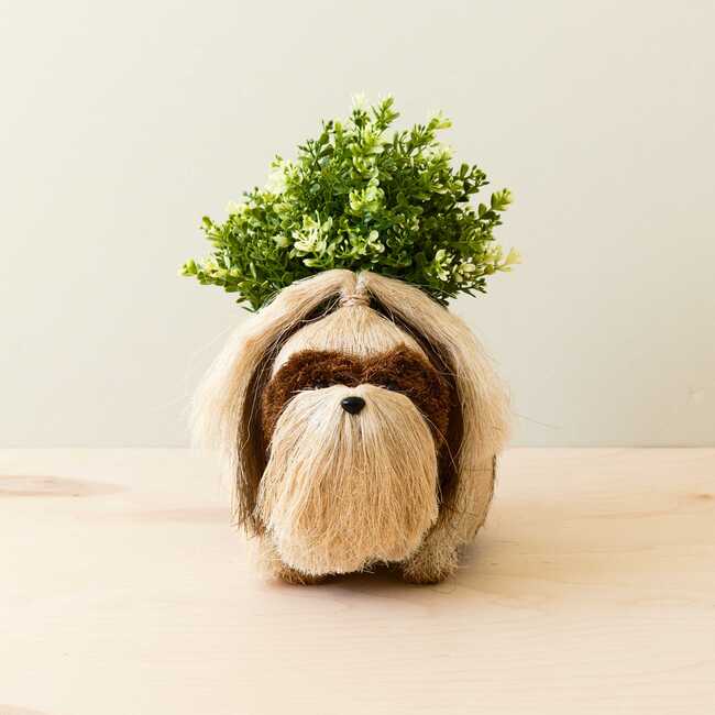 Chow Chow and Shih Tzu Planter Set - Pots - 6