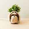 Chow Chow and Shih Tzu Planter Set - Pots - 6