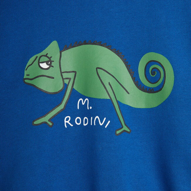 Chameleon Sweatshirt - Sweaters - 3