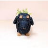 Mama and Baby Dachshund Planter Set - Pots - 2