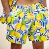 The Bossitano, Swim Trunks - Swim Trunks - 2