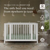 Rolli 9-in-1 Convertible All-Stages® Crib with Bassinet & Toddler Bed Conversion Kits in White - Cribs - 8
