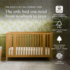 Rolli 9-in-1 Convertible All-Stages® Crib with Bassinet & Toddler Bed Conversion Kits in Honey - Cribs - 10