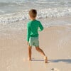 Boys Bermuda Green Stripe Boardie - Swim Trunks - 3