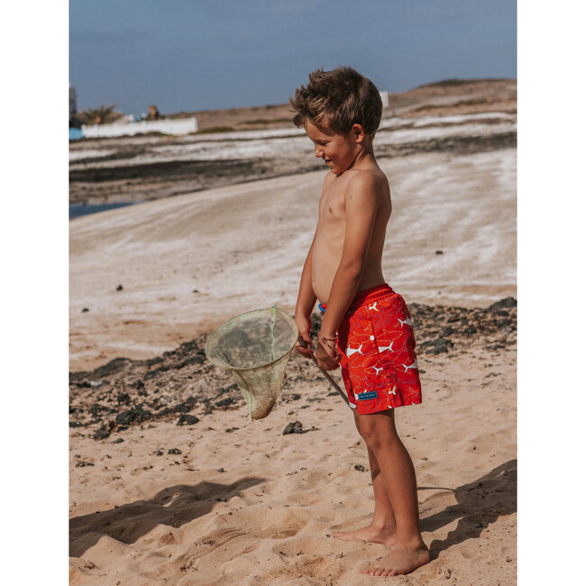 Holly & Beau Sharks Color Changing Swim Trunks - Swim Trunks - 4