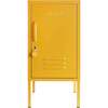 The Shorty In Mustard - Storage - 1 - thumbnail