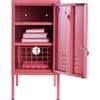 The Shorty In Berry - Storage - 2
