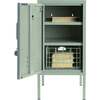 The Shorty  To The Left In Sage - Storage - 2