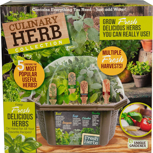 Unique Gardener: Culinary Herb Collection