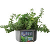 Unique Gardener: Culinary Herb Collection - Arts & Crafts - 2