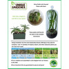 Unique Gardener: Culinary Herb Collection - Arts & Crafts - 6