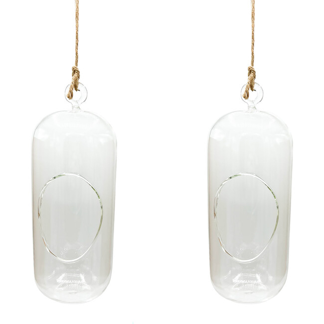 Glass Terrarium: Carefree Capsule - 2 Pack