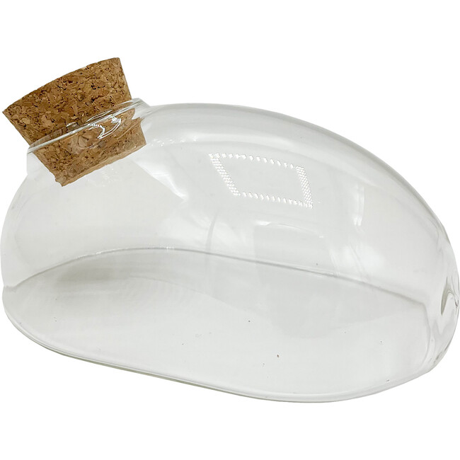 Glass Terrarium: Mouse