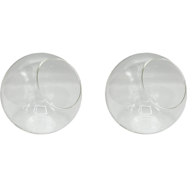 Glass Terrarium: Classic 5" - 2 Pack