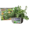 Unique Gardener: Culinary Herb Collection - Arts & Crafts - 7