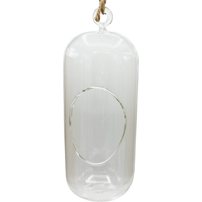 Glass Terrarium: Carefree Capsule - 2 Pack - Arts & Crafts - 2