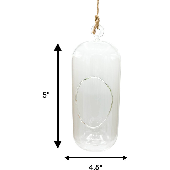 Glass Terrarium: Carefree Capsule - 2 Pack - Arts & Crafts - 3