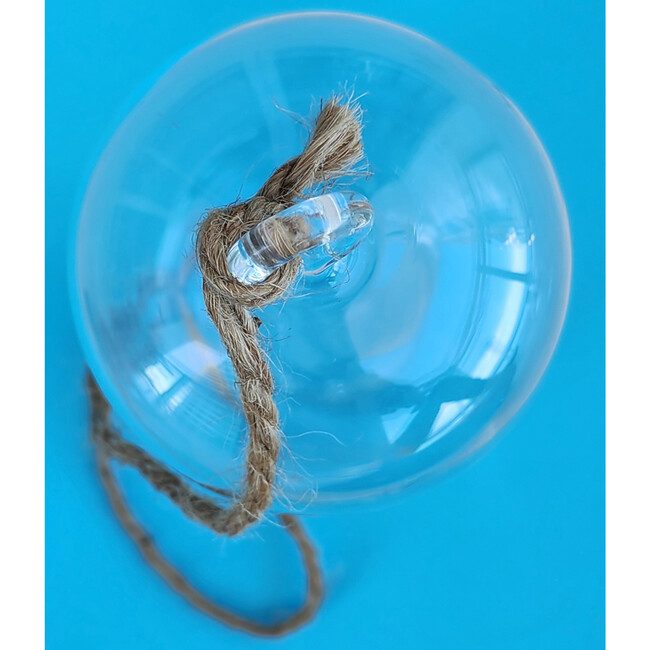 Glass Terrarium: Carefree Capsule - 2 Pack - Arts & Crafts - 4