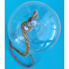 Glass Terrarium: Carefree Capsule - 2 Pack - Arts & Crafts - 4