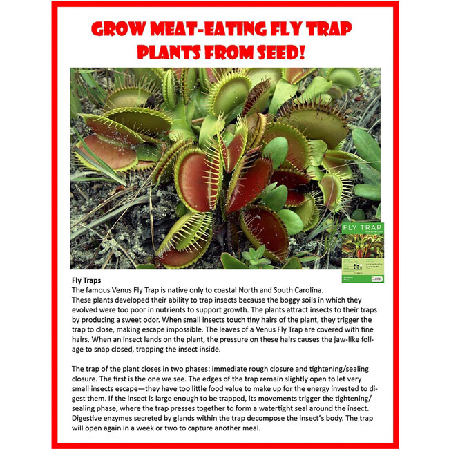 Unique Gardener: Carnivorous Growarium - Arts & Crafts - 7