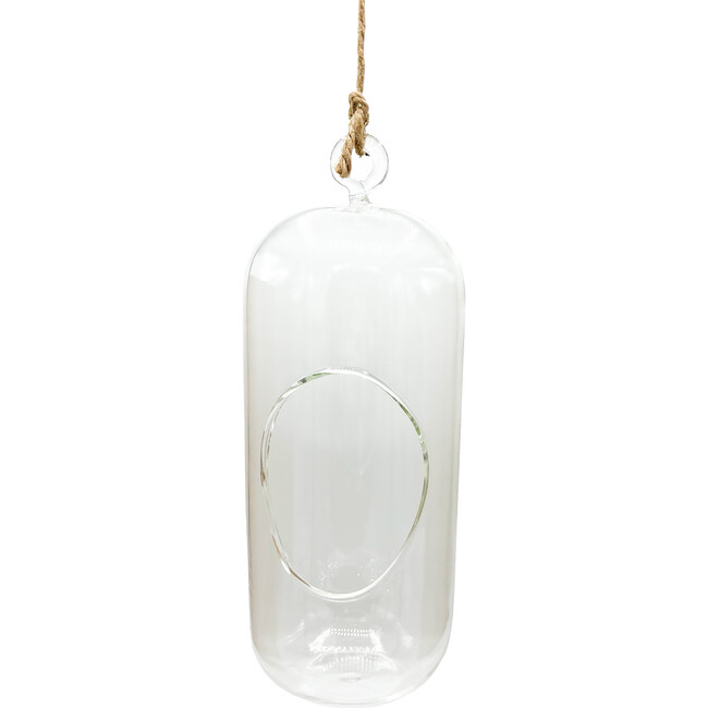 Glass Terrarium: Carefree Capsule