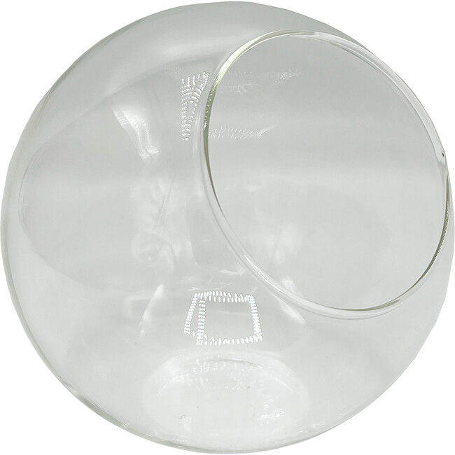 Glass Terrarium: Classic 5"