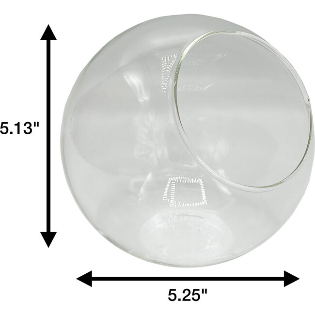 Glass Terrarium: Classic 5" - 2 Pack - Arts & Crafts - 3