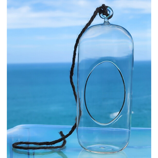 Glass Terrarium: Carefree Capsule - 2 Pack - Arts & Crafts - 5