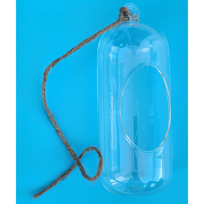 Glass Terrarium: Carefree Capsule - 2 Pack - Arts & Crafts - 6