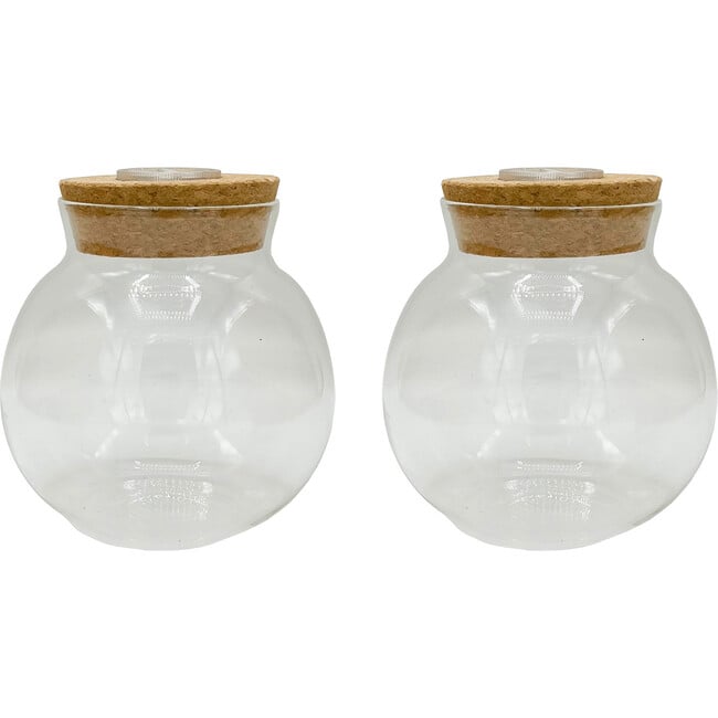 Glass Terrarium: 4" With Cork & 3 LEDs - 2 Pack