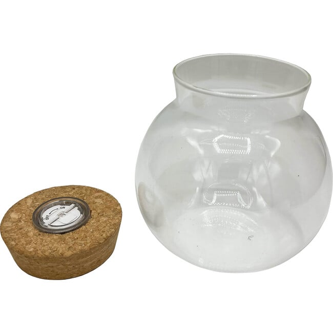 Glass Terrarium: 4" With Cork & 3 LEDs - 2 Pack