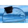 Glass Terrarium: Mouse - Arts & Crafts - 6