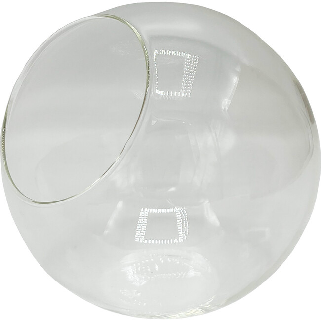 Glass Terrarium: Classic 5" - 2 Pack - Arts & Crafts - 7