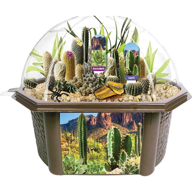 Toys By Nature: Desert Dome - Arts & Crafts - 2