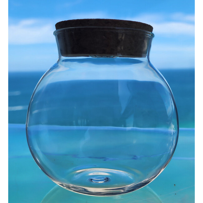 Glass Terrarium: 4" With Cork & 3 LEDs - 2 Pack - Arts & Crafts - 7