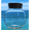 Glass Terrarium: 4" With Cork & 3 LEDs - 2 Pack - Arts & Crafts - 7