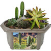 Toys By Nature: Desert Dome - Arts & Crafts - 4