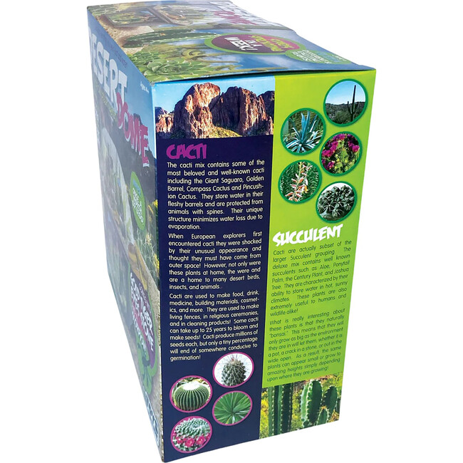 Toys By Nature: Desert Dome - Arts & Crafts - 6