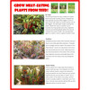 Toys By Nature: Carnivorous Creatures - Arts & Crafts - 7