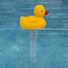 Duck Thermometer - Pool Toys - 4