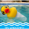 Pool Chlorinator: Duck - Large - Pool Toys - 4