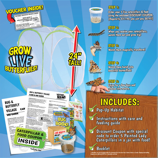 Nature Bound: Butterfly Habitat & Terrarium - Outdoor Games - 3